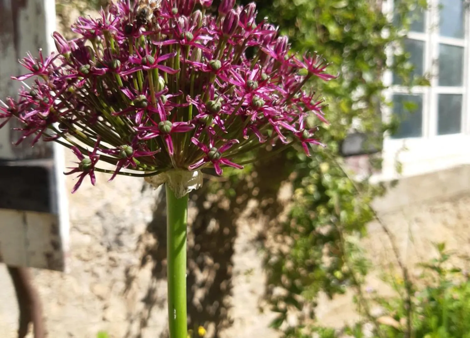 بيت شباب Pan Demeure Et Granges Montesquieu-Avantes